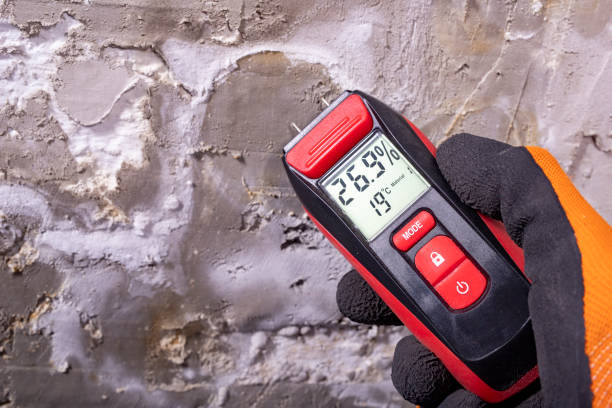 Mold Removal and Inspection in Rupert, WV