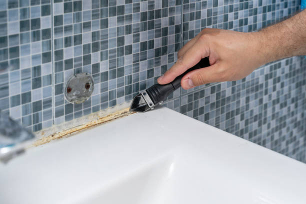 Trusted Rupert, WV Mold Removal Experts